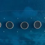 مزرعه پرورش ماهی کاسپین ژیک